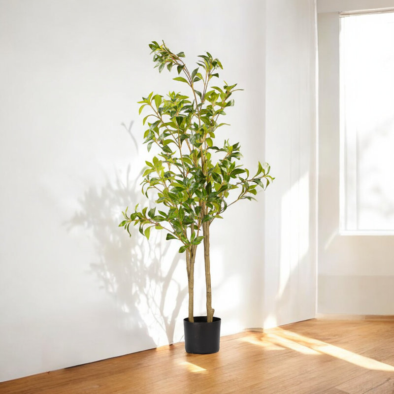 Artificial Pieris Tree In Nursery Pot, 48" H x 24" W x 24" D