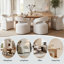 Fauteuil moderne rembourré avec dossier ouvert Hector