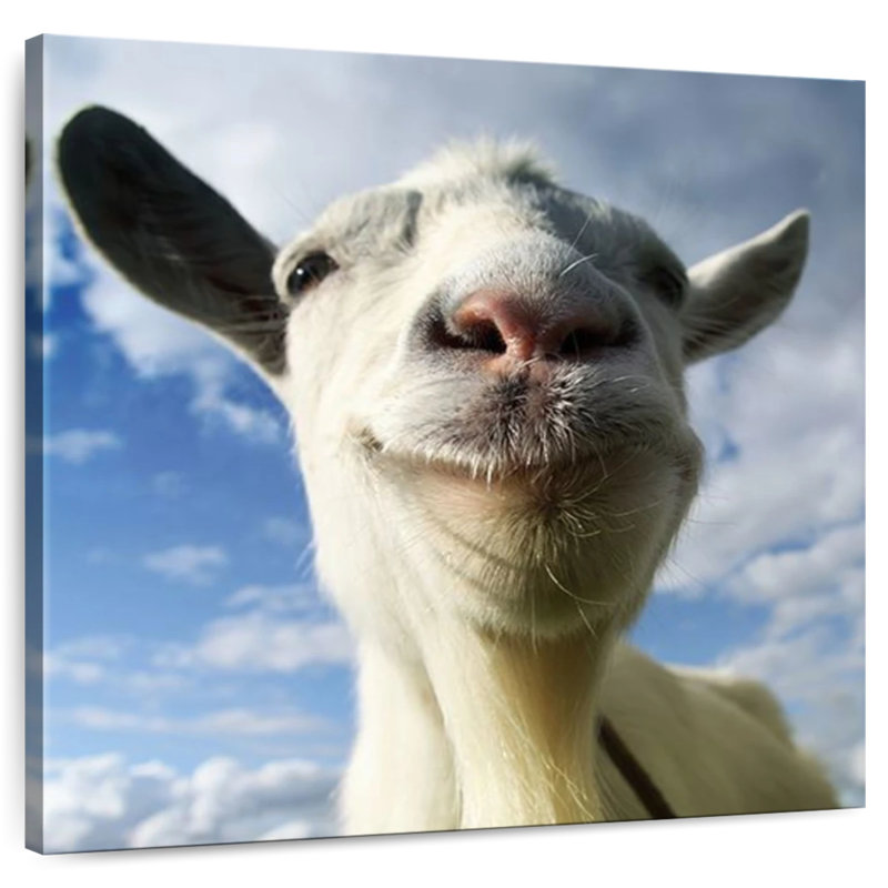 Crowle Nosy Goat, H 39 po x l 39 po