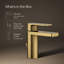 Robinet de salle de bain monotrou avec drain-93457514