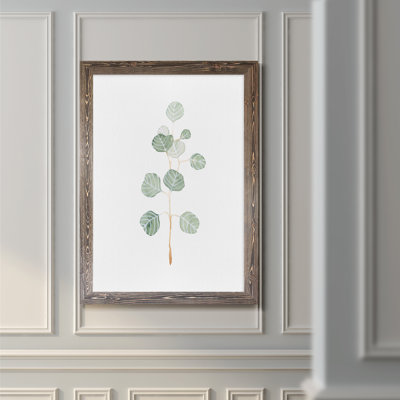 Doux eucalyptus II - Reproduction d'art sur toile encadrée