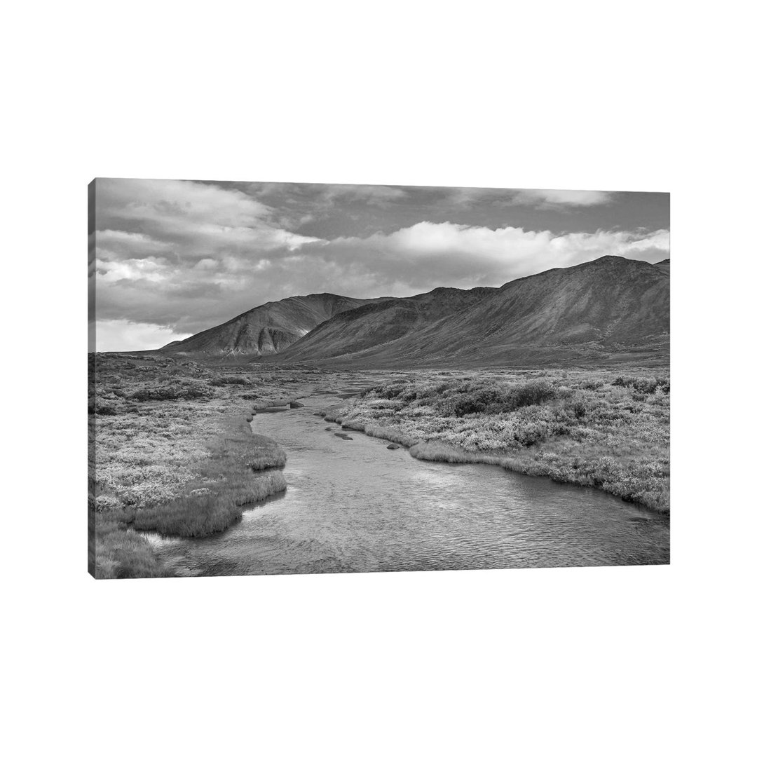 Hart River Flowing Over Tundra Beneath The Ogilvie Mountains, Yukon Territory, Canada von Tim Fitzharris - Gallery-Wrapp...