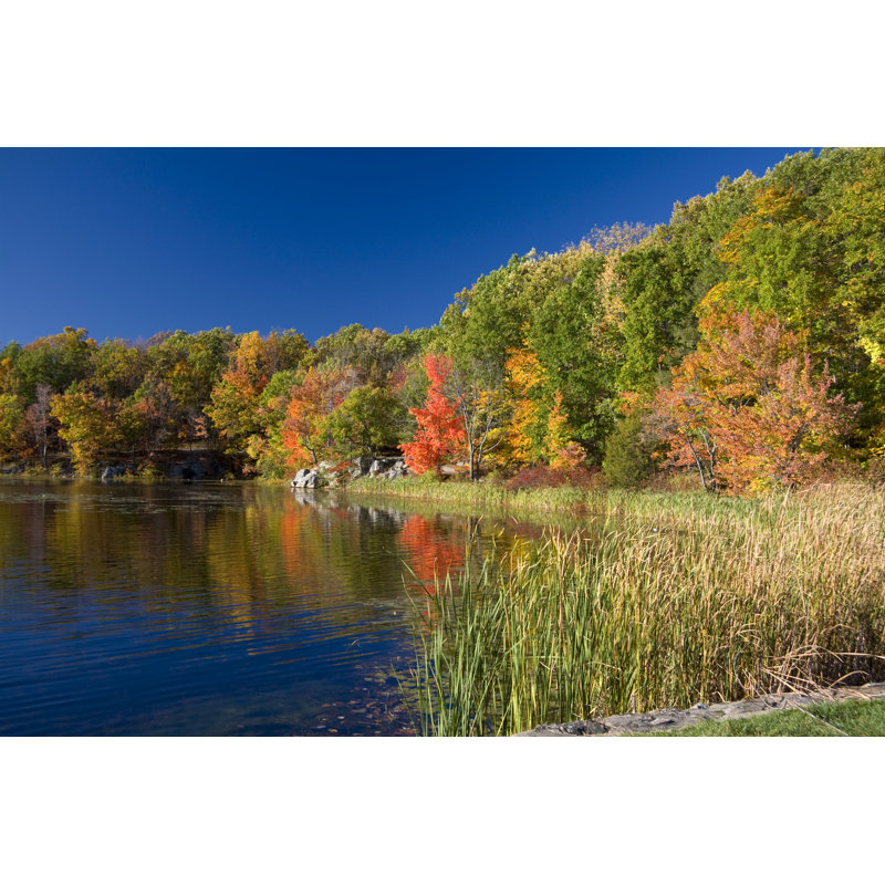 Autumn Scene With Lake - Wrapped Canvas Print, 61cm H x 91cm W x 3.8cm D