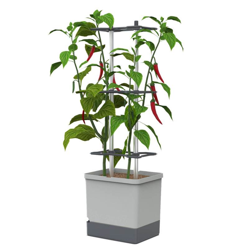 Charly Chili Regular, Planter Pot, Aluminum Climbing Aid, Self-Watering, 4.5L Water Reservoir, 10L Soil Capacity, Grey