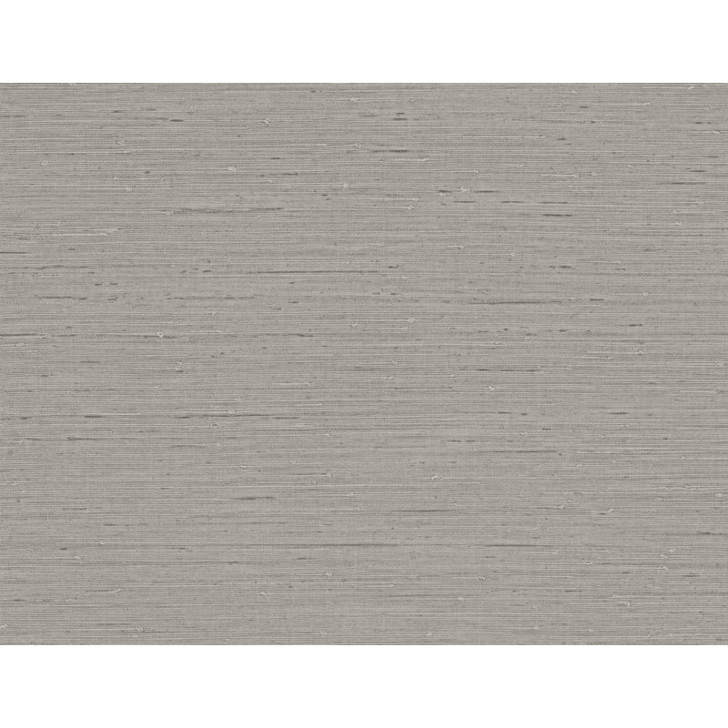 Rouleau de papier peint embossé 3D 2 pi 3 po x 27 po Designs Seahaven Rushcloth, Gris anse