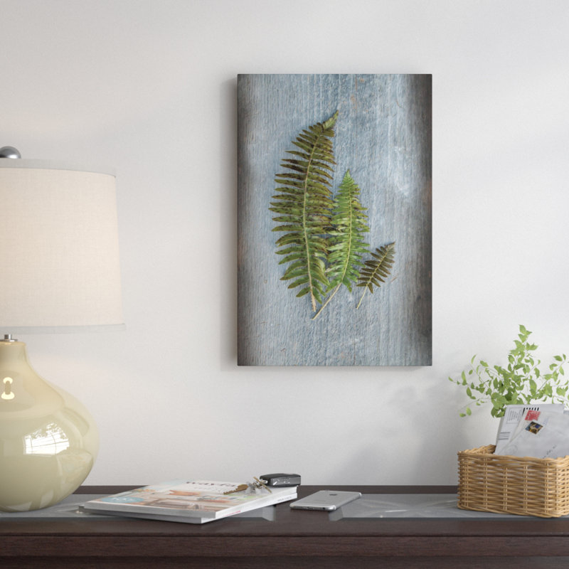 «Woodland Fern VI» par Sue Schlabach, reproduction de photo sur toile tendue, H 24 po x l 16 po x P 1 po, Blanc