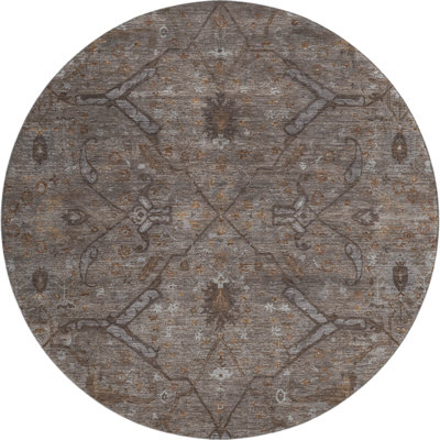 Premium Machine Washable Mayfield AMF2299 Global Rug