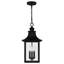 Saburo 3-Light Mystic Black Mini Pendant Light