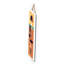 Hutcheson Nautical & Beach Wall Decor-1830934846