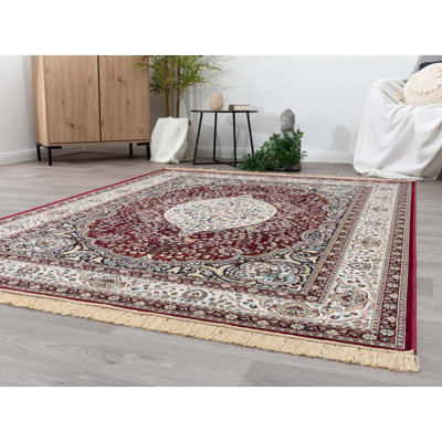 Chonita Oriental Viscose Area Rug