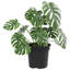 Round Flower Pot 6 Pcs Plastic-701502285-701502284