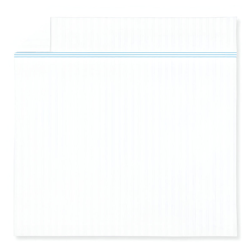 400TC Triple Embroidery Sateen Stripe Cotton 4 Piece Sheet Set Fitted Sheet Fits Upto 16" Deep Pocket, Light Blue Border