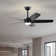 Angus 5-Blade Lighted Ceiling Fan With Led Lamp With Remote