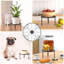Plant Stand - Set of 5-1988547566