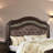 Florijan Upholstered Standard Bed-28224064