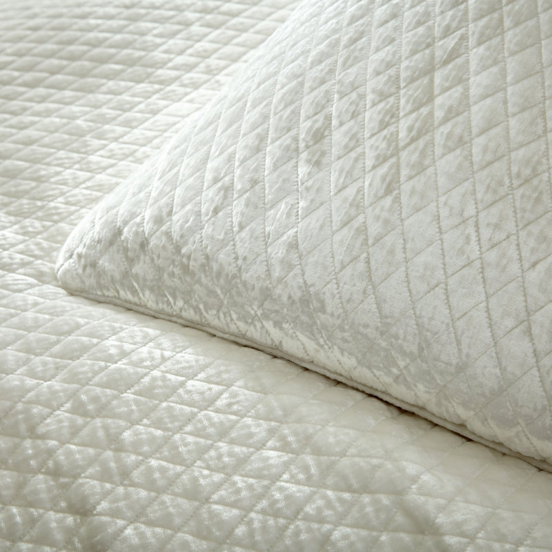 Enzo Sham, Ivory