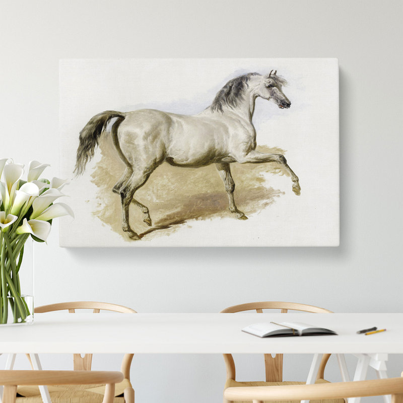 Study Of A Grey Arab Horse by John Frederick Herring - Wrapped Canvas Painting, 40cm H x 60cm W x 3cm D