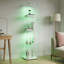 Display Cabinet-237066278