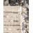 Yanaliz Hand Loomed Wool Indoor Rug-1571772229
