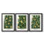 Ensemble de 3 tiroirs personnalisés de la série DMCXLII de William Morris-317936169-317936166