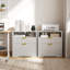 73cm Wide 2 -Drawer File Cabinet-2021688806