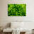 Harnek Lime Heart I-108876083