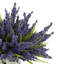 Heather Arrangement In A Glass Vase With Mosaic Label