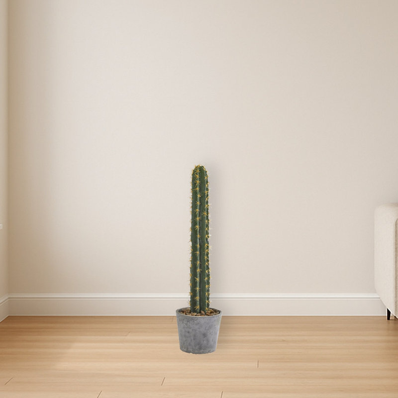 Cactus Silk Plant in Stone Planter
