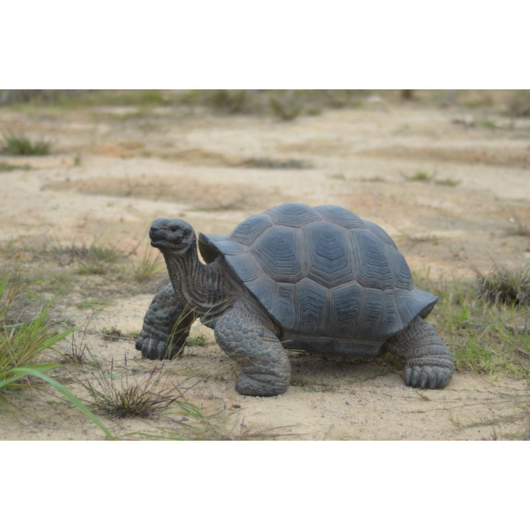 Tortoise Statue Hi-Line Gift Ltd.