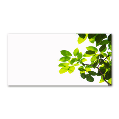 Leaves - Wrapped Canvas Print