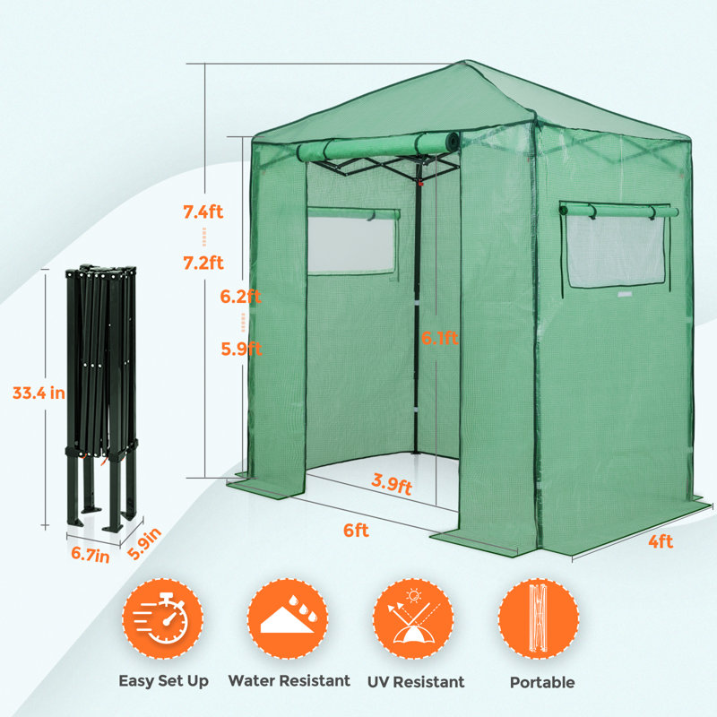 Pop Up Greenhouses 6 ft x 4 ft Greenhouse, Green
