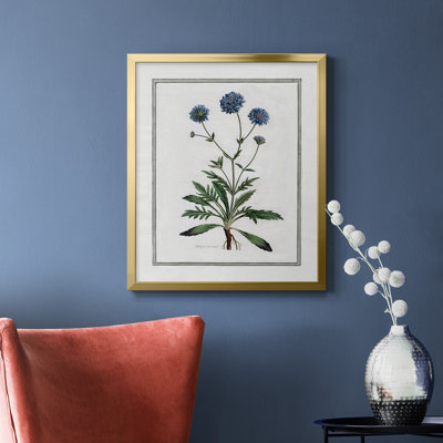 Toile encadrée de qualité supérieure Soft Botanical II - prête à être accrochée