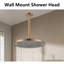 Pomme de douche pluie 2 GPM GPM-115863743