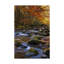 «Autumn on Little River» par Danny Head - impression sur toile-33425748