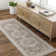 Oriental Indoor Rug