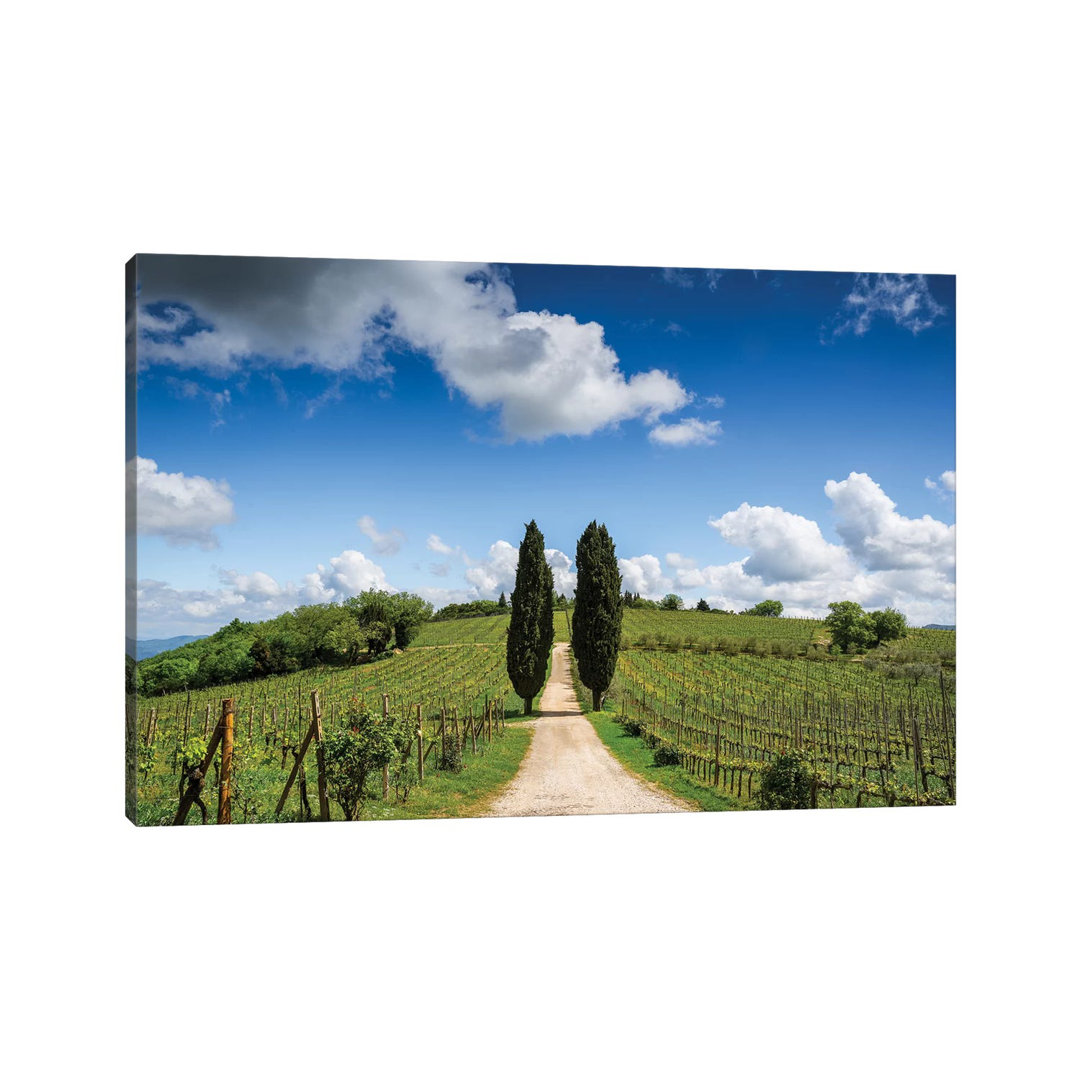 Europe, Italy, Tuscany, Chianti. Vineyard And Cypress Trees. by Jaynes Gallery - Wrapped Canvas Gallery-Wrapped Canvas Giclée