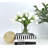 Ivory Tulips 30-stem Tall Vase Arrangement