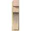 Sapin Douglas-113998552-109329436
