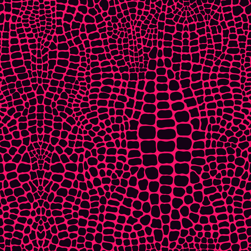 Alligator - impression sur toile tendue, H 12 po x l 12 po
