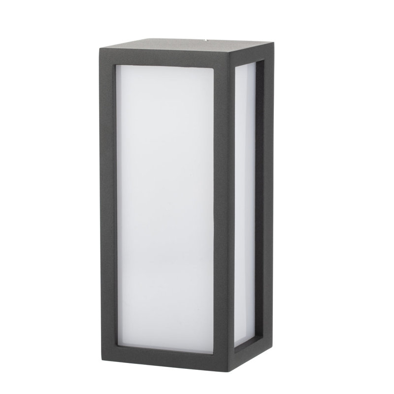 Nataleigh 18cm H Outdoor Wall Lantern