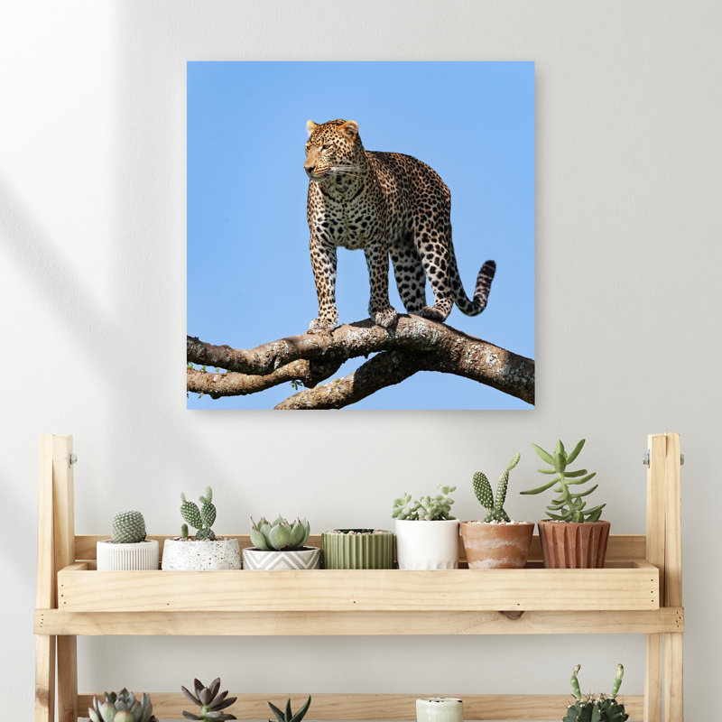 Print, 45.72cm H x 45.72cm W