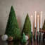 Wonderland tree-green-6 in-499668515