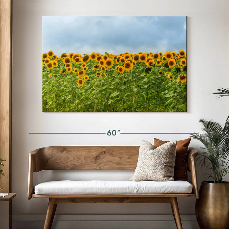 Tournesols Alvord, H 34 po x l 51 po