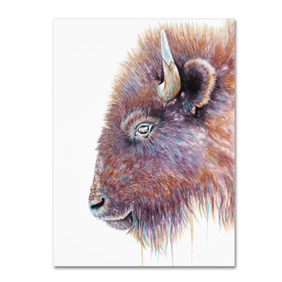 « rites of the west buffalo », reproduction d’impression sur toile tendue