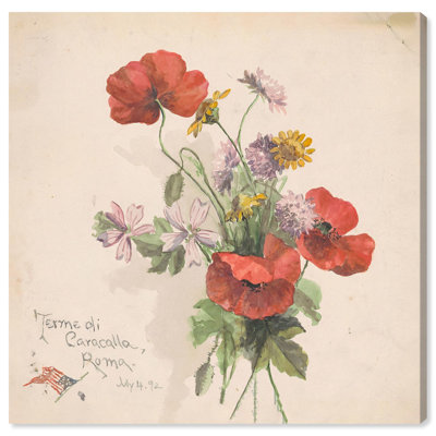 Terme di Caracalla Roma 1892 Canvas Vintage Botanic Art by Art Remedy