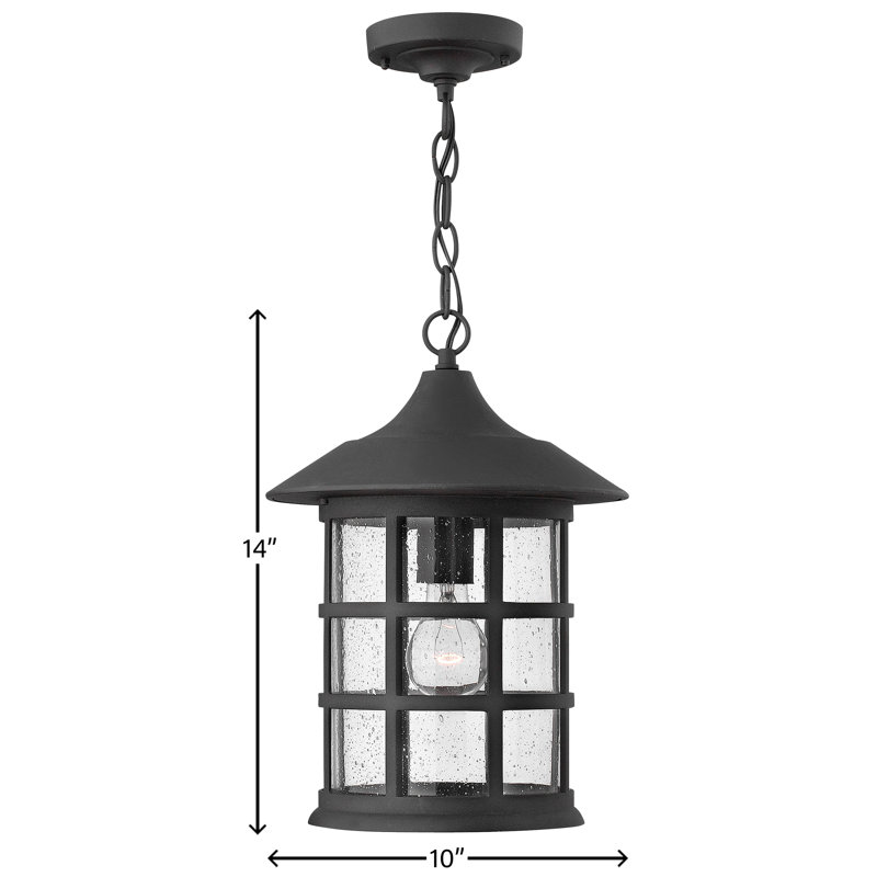 Freeport 1-Light Outdoor Hanging Lantern, Black, Incandescent