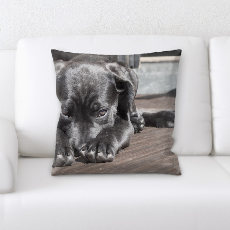 Coussin pour animaux
