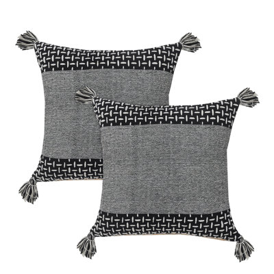 Melida Tassels Throw Pillow Set of 2