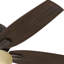 Ventilateur de plafond à profil bas 52 po avec lumière DEL et chaîne de traction Hunter-56420885