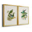 «Lime & Cerulean Parrots I», ensemble de 2 reproductions encadrées sur toile-1595283931-1595283928